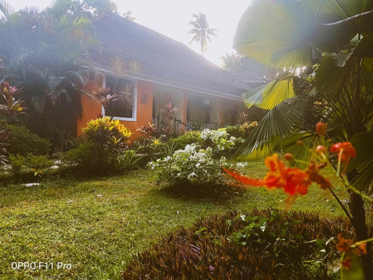 Country Side Inn Portuguese Guest House Cuelim Buitenkant foto